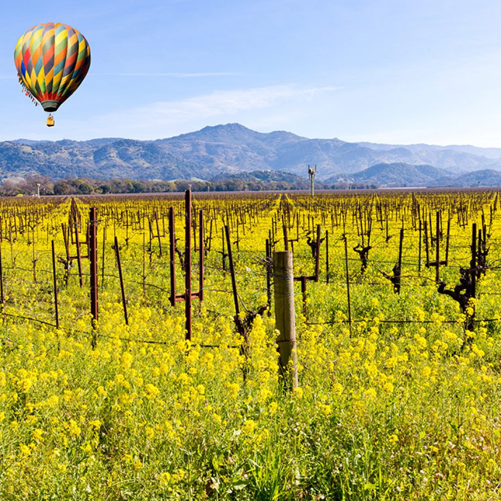 Discover Napa Valley - Magellan Luxury Hotels