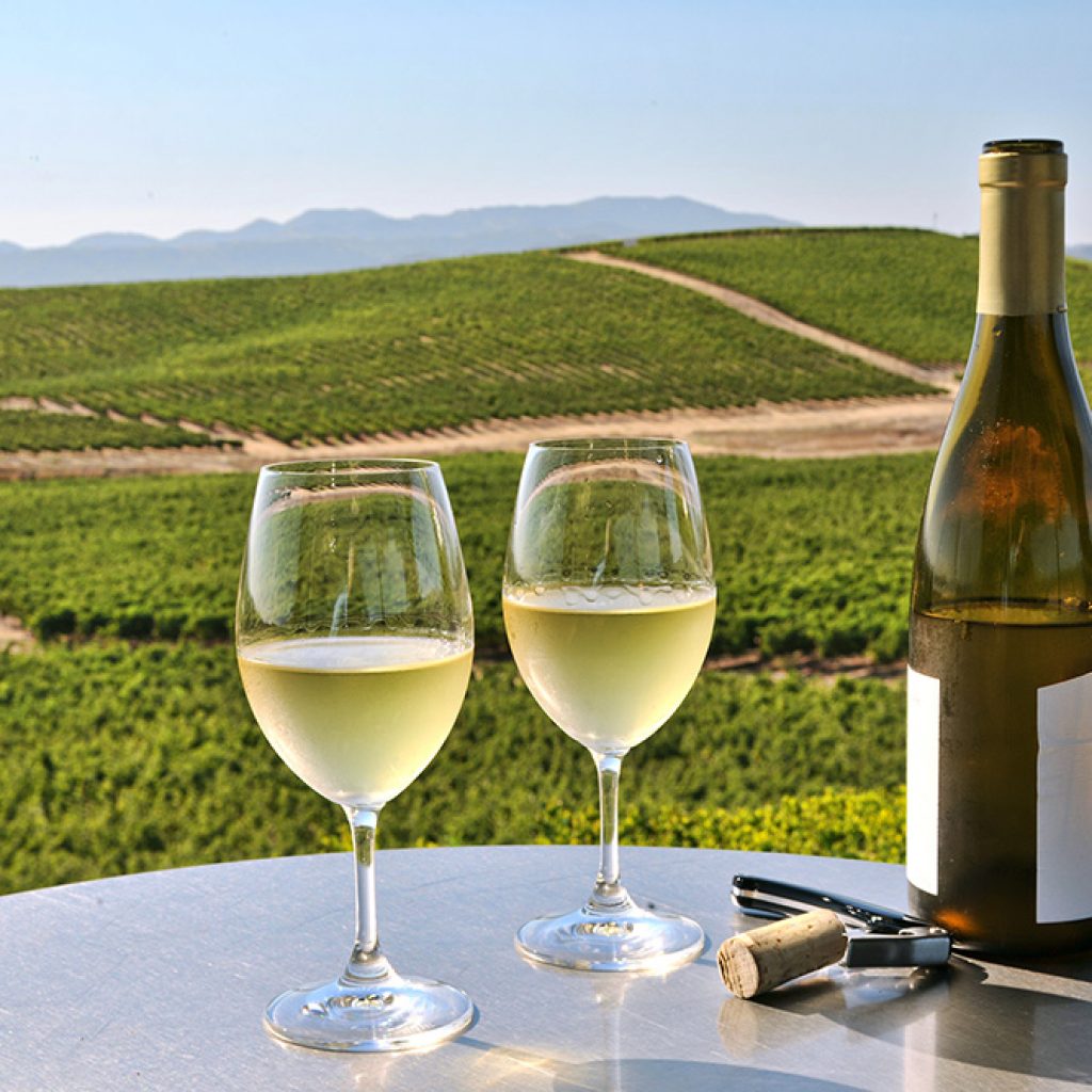 Discover Napa Valley - Magellan Luxury Hotels