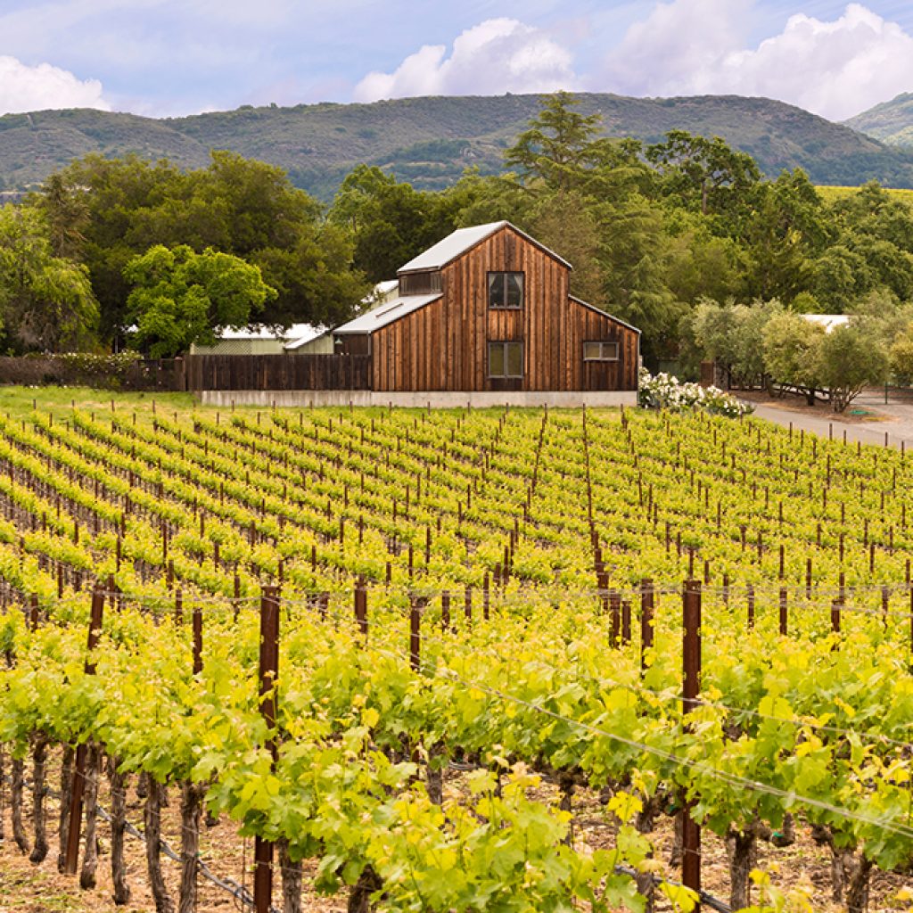 Discover Napa Valley - Magellan Luxury Hotels