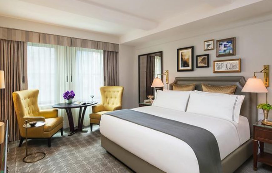 King Premium High Floor