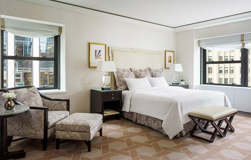 Palace Studio Suite