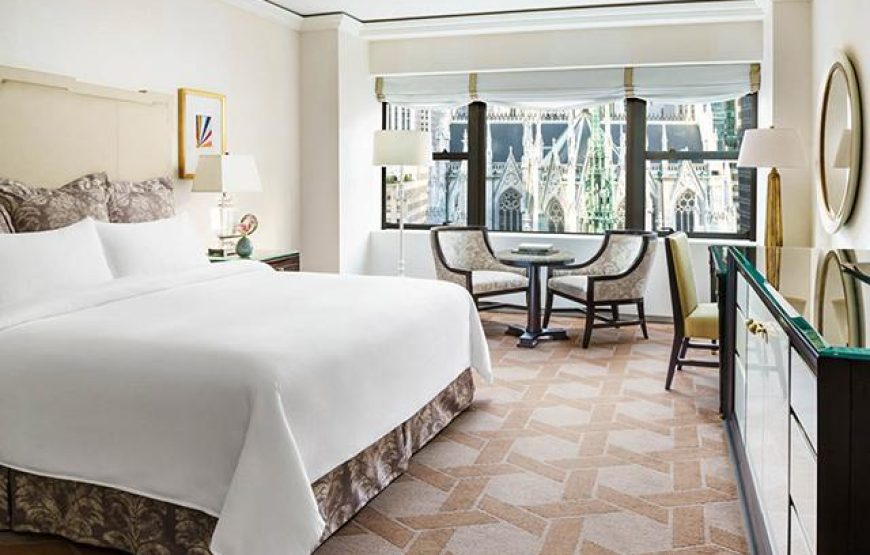 Palace One Bedroom Suite